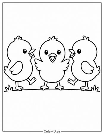 Three Baby Chicks coloring page