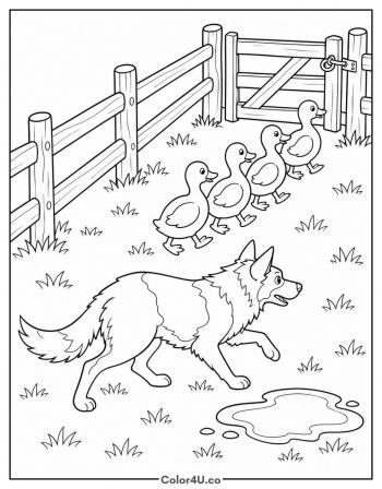 Sheepdog Herding Ducks coloring page