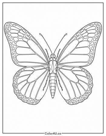 Realistic Monarch Butterfly coloring page
