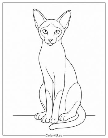 Siamese Cat coloring page