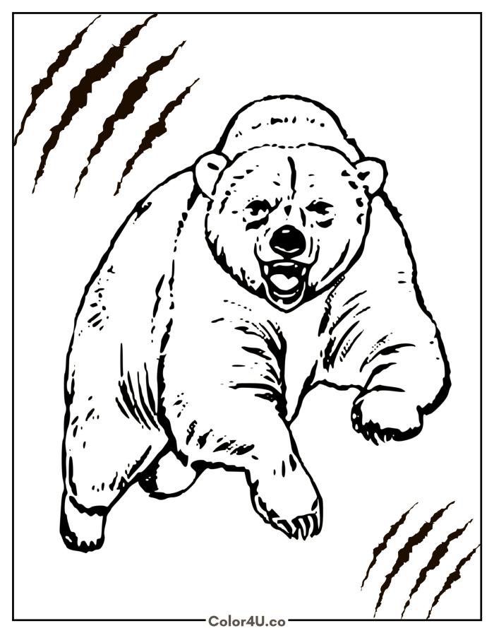Roaring bear roars with open mouth, medium bear coloring page, free printable