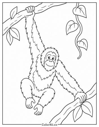 Orangutan Swinging coloring page