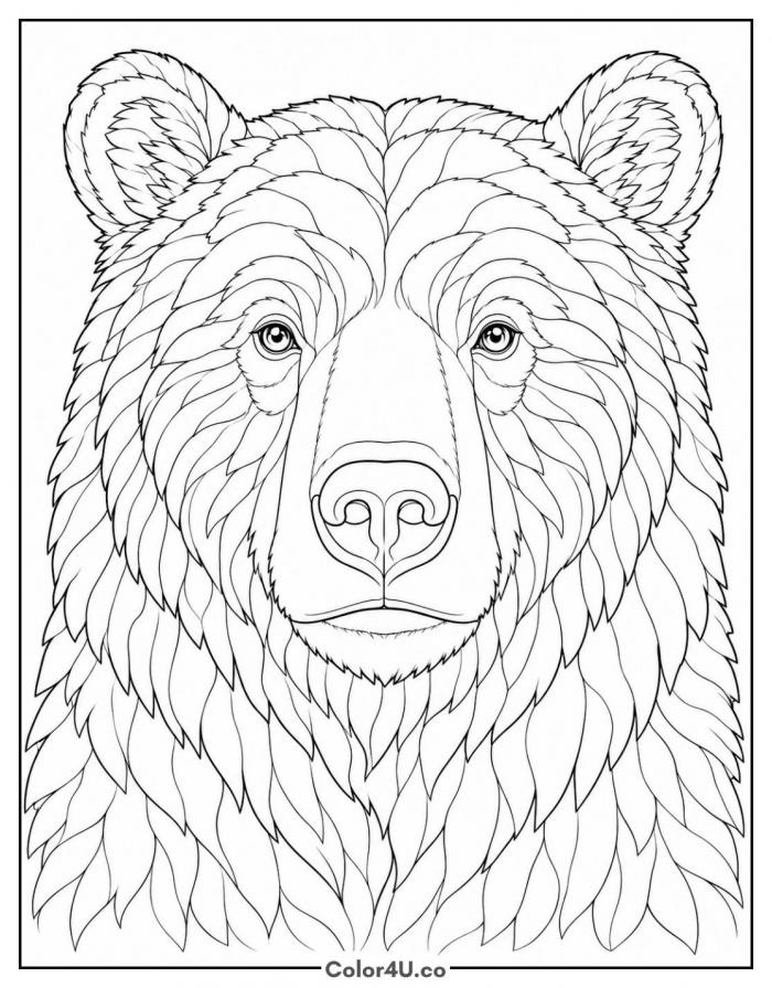 Realistic grizzly bear portrait, detailed coloring page, free printable