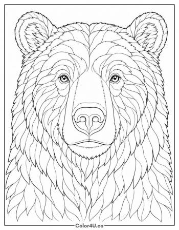 Realistic Bear Portrait coloring page