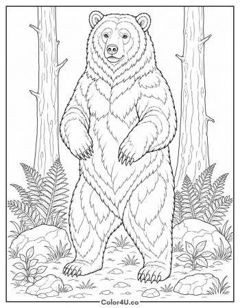 Grizzly Standing Tall coloring page