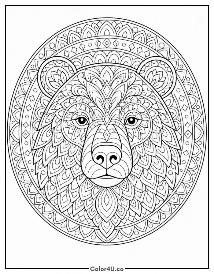 Mandala bear face design, detailed Bear coloring page, free printable