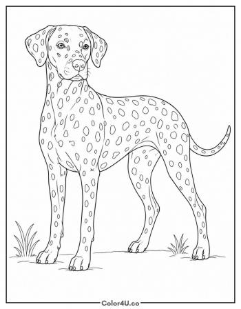 Dalmatian with Spots coloring page