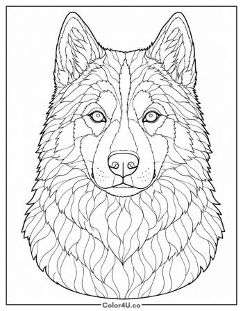 Siberian Husky Portrait coloring page