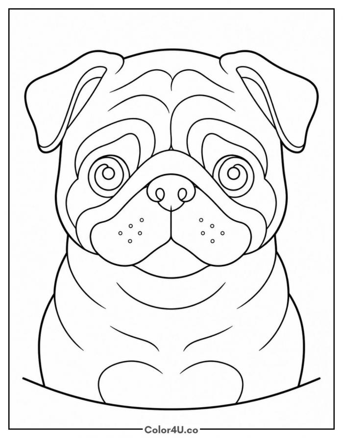 Pug face portrait with wrinkles, medium dog coloring page, free printable