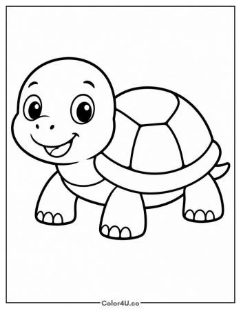 Baby Turtle - Big and Simple coloring page