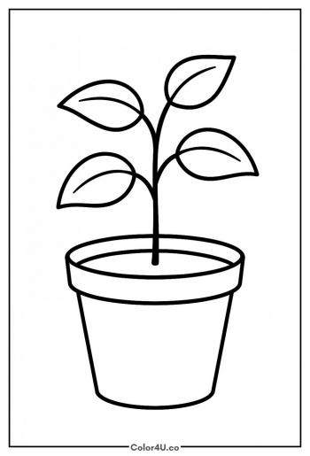 Tomato Seedling in a Pot coloring page