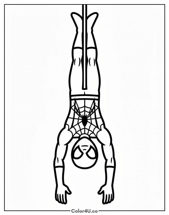 Spider-Man hanging upside down from a web strand, easy coloring page, free printable