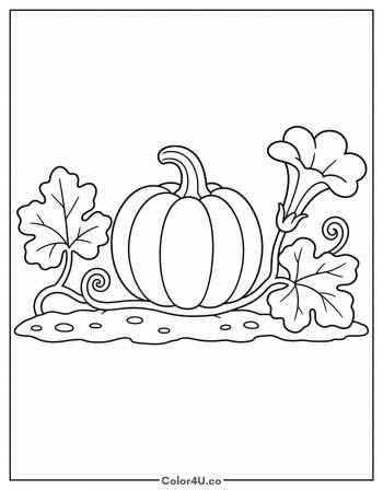 Pumpkin Plant with Vine and Blossom coloring page