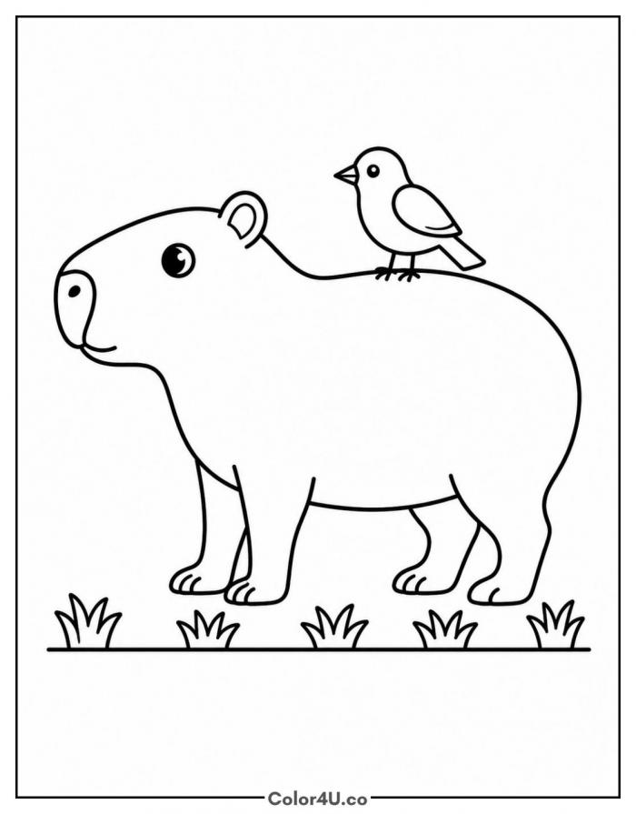 Capybara with a small bird perched on its back, capybara coloring page