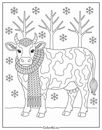 Winter Cow in a Knitted Scarf coloring page