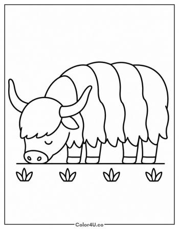 Highland Cow Grazing in a Field coloring page