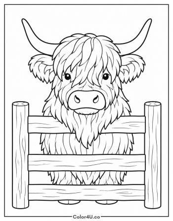 Highland Cow Peeking Over a Fence coloring page
