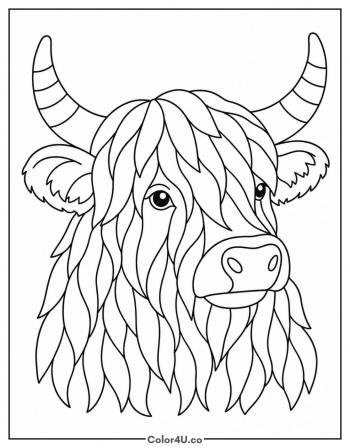 Realistic Highland Cow Portrait coloring page