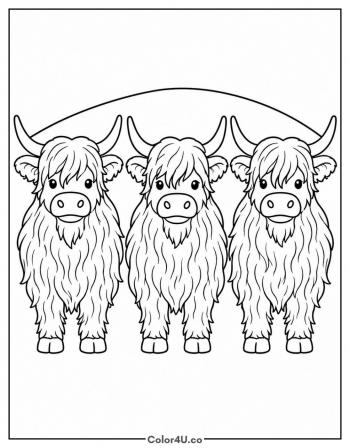 Three Highland Cows in a Row coloring page