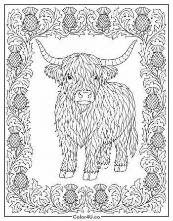 Highland Cow in a Thistle Border coloring page