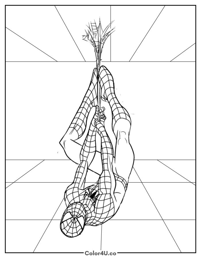 spider-man-hangs-from-the-web