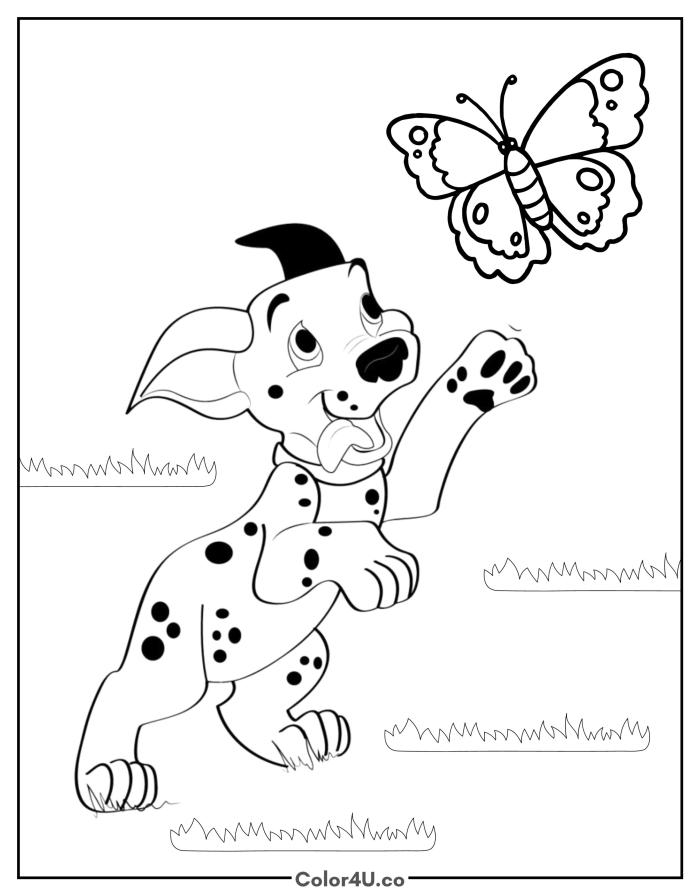 a-dalmatian-playing-with-a-butterfly