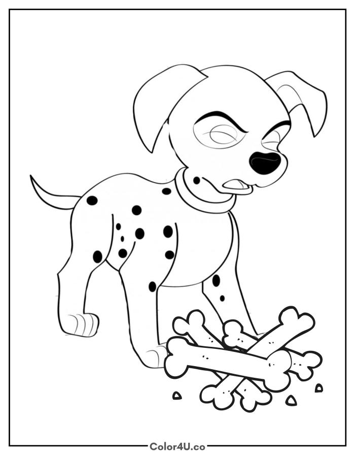 an-angry-dalmatian