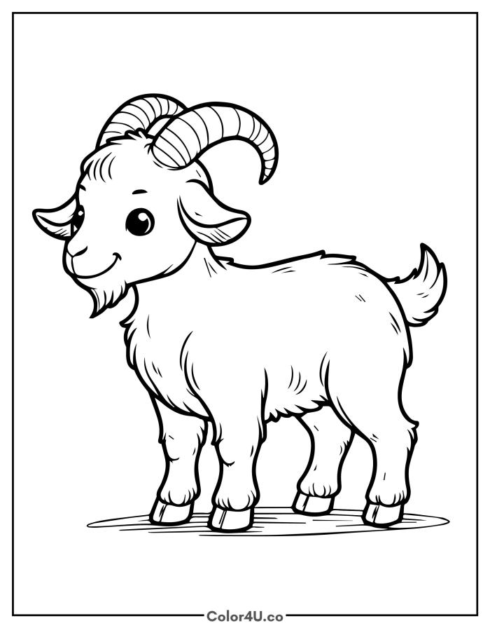 little-goat