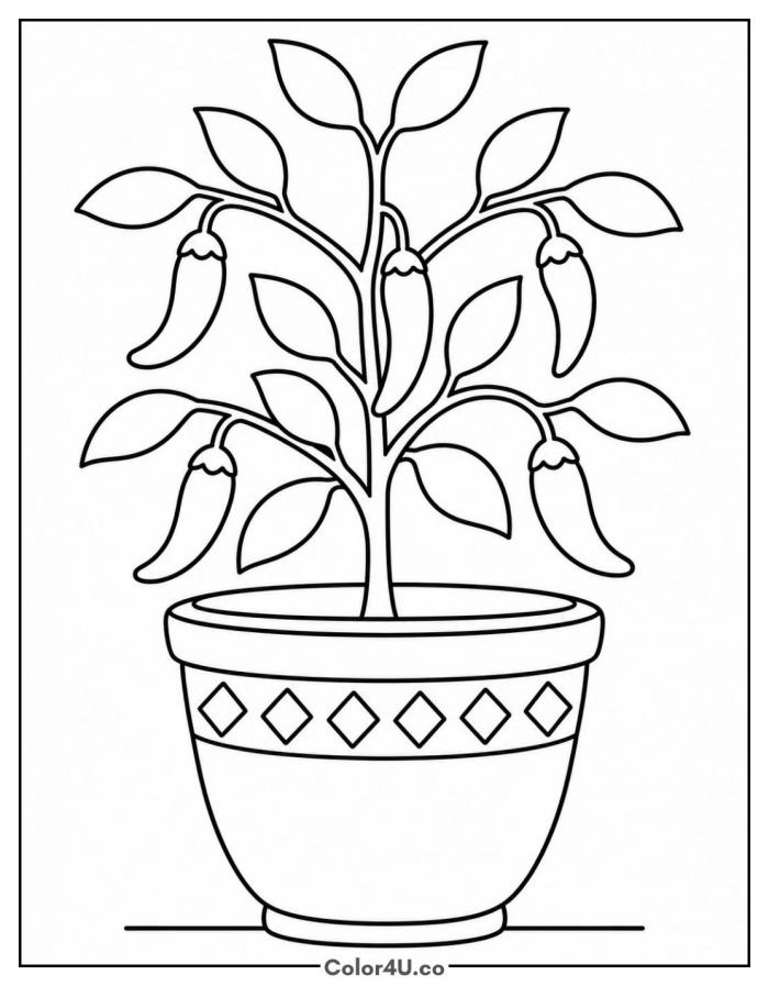 Chili pepper plant in a flower pot, medium pepper coloring page, free printable