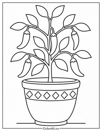 Chili Pepper Plant in a Pot coloring page
