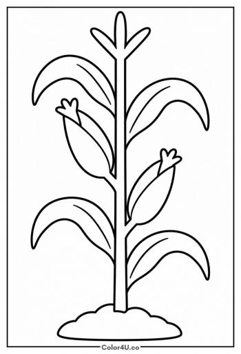 Tall Corn Stalk with Two Ears coloring page