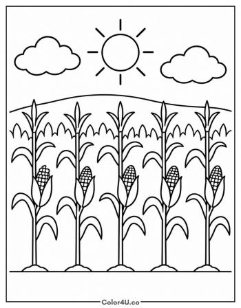 Sunny Cornfield with Rows of Stalks coloring page