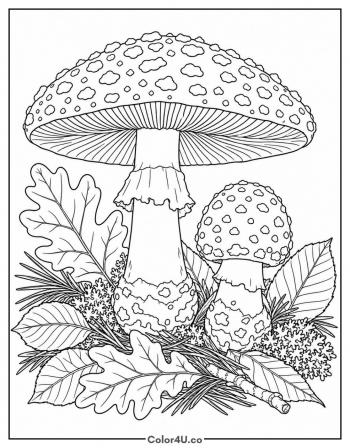 Realistic Fly Agaric Toadstools coloring page