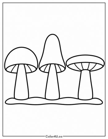 Mushroom Cap Shapes: Round, Bell and Flat coloring page