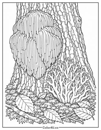Lion's Mane and Coral Fungi coloring page