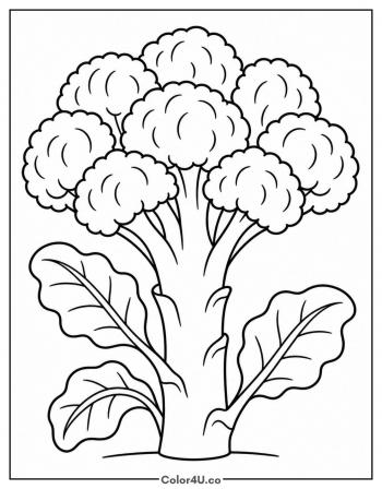 Broccoli Stalk With Leaves coloring page