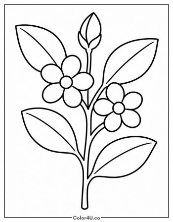 Tea Plant Branch with Leaves coloring page