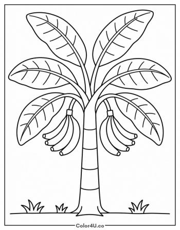 Banana Tree with Hanging Bunches coloring page