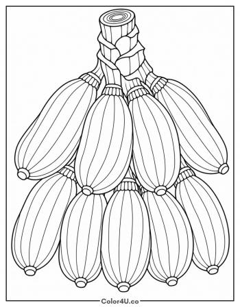 Realistic Banana Bunch coloring page