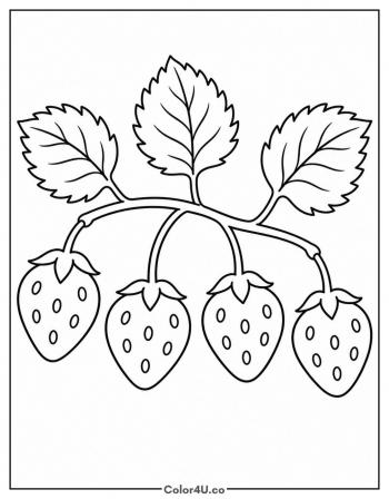 Bunch of Strawberries on a Vine coloring page
