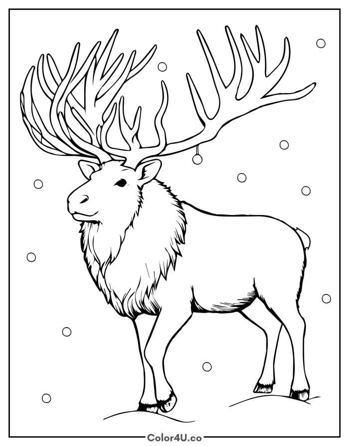 reindeer-with-big-antlers