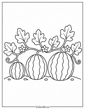 Watermelon Patch on the Vine coloring page