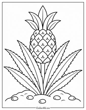 Pineapple Plant Growing in the Ground coloring page