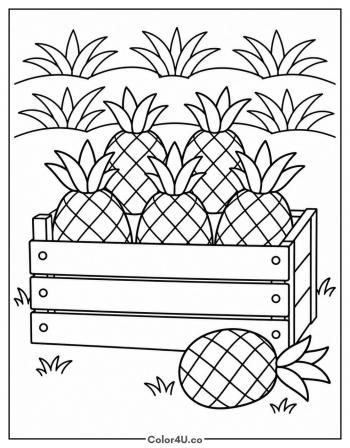 Crate of Harvested Pineapples coloring page