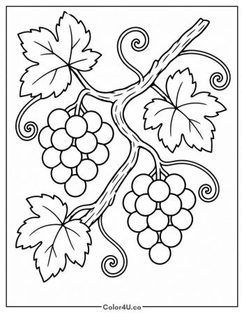 Curling Grapevine with Tendrils coloring page