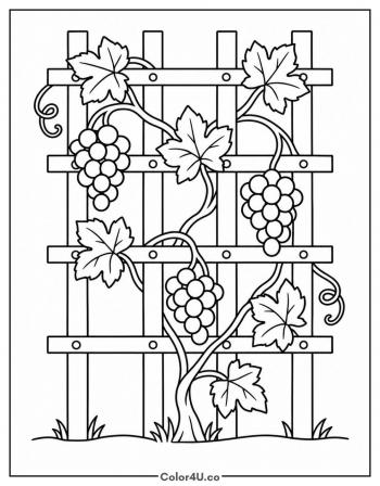 Grapevine on a Garden Trellis coloring page