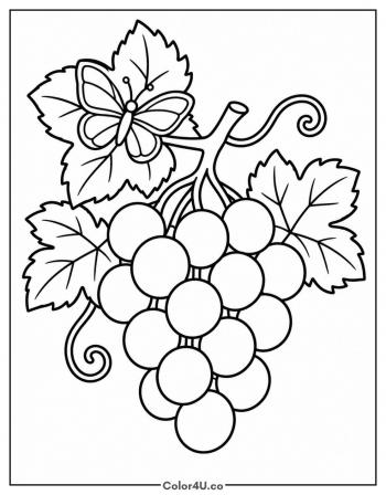 Grapes with a Butterfly coloring page