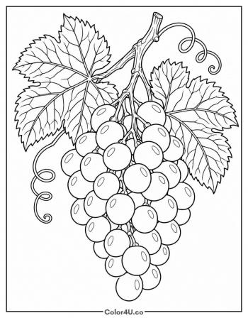 Realistic Grape Cluster coloring page