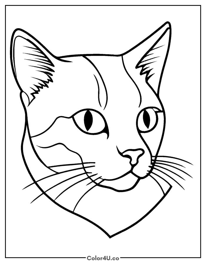 Cat with a knowing gaze portrait, medium cat coloring page, free printable