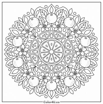 Orange Slice Mandala coloring page
